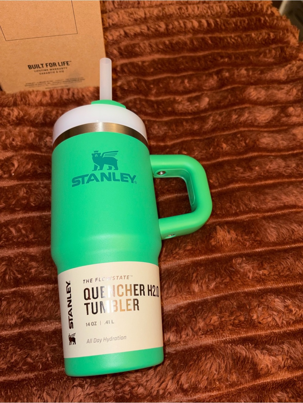 Stanley Quencher Tumbler in seafoam green with white lid